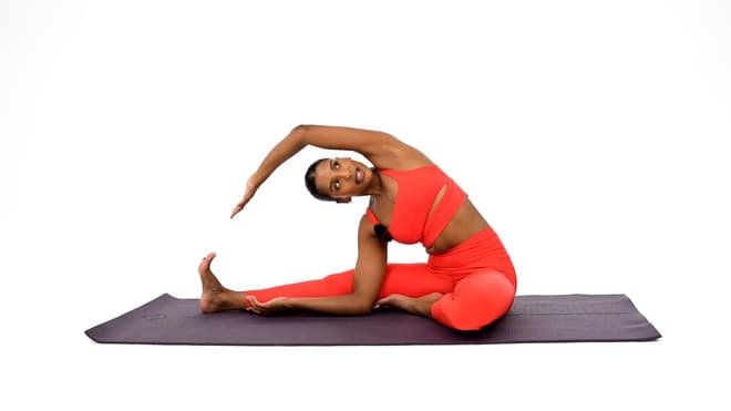 Tree Plank Flow demonstrated by Mish Naidoo